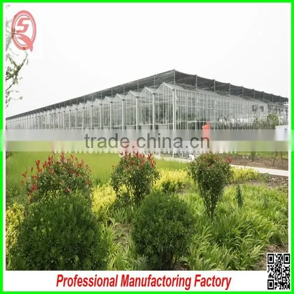 Best Selling High Quality SQ-9.6 Glass Greenhouses With Stable Structure photo-3