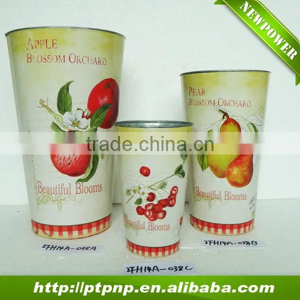 Newest Metal Zinc Flower Pot With Printing photo-4