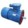 DSB Series Flame-proof Three-phase Asynchronous Motor photo-2