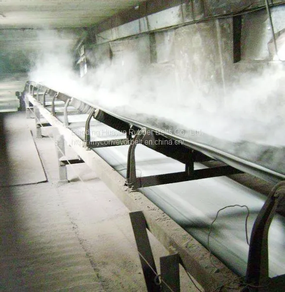 Heat & Acid-alkali Resistant Conveyor Belt photo-3