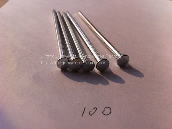 Polished Common Iron Nail photo-3