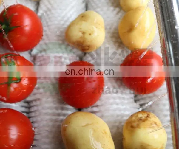 Commercial Sweet Potato Baby Carrot Tomato Onion Vegetable Orange Peach Apricot Blueberry Small Fruit Brush Washing Machine photo-5