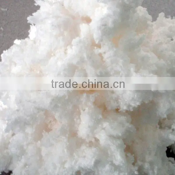 Raw Cotton Bales for Sale