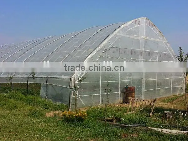 Plastic Film Covered Horticultural Greenhouse photo-2