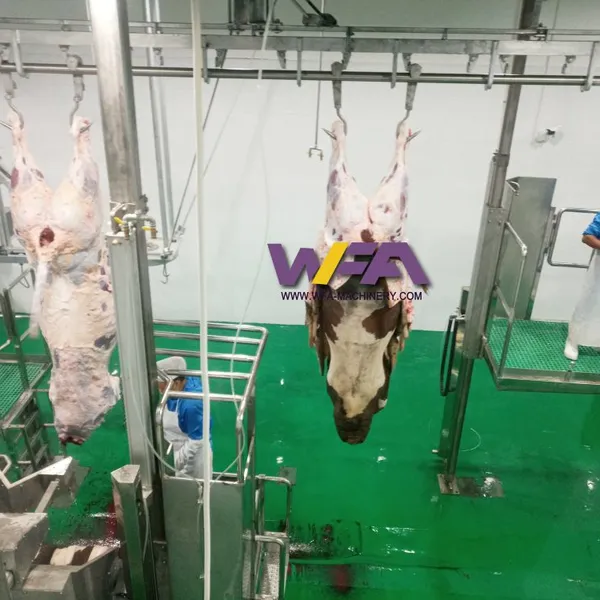 Cattle Slaughter Line Abattoir Equipment Slaughtering Line Butcher Machine Bleeding Conveyor photo-4