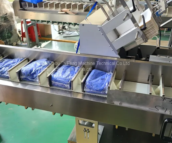 the Horizontal Automatic Cartoning Machine photo-2