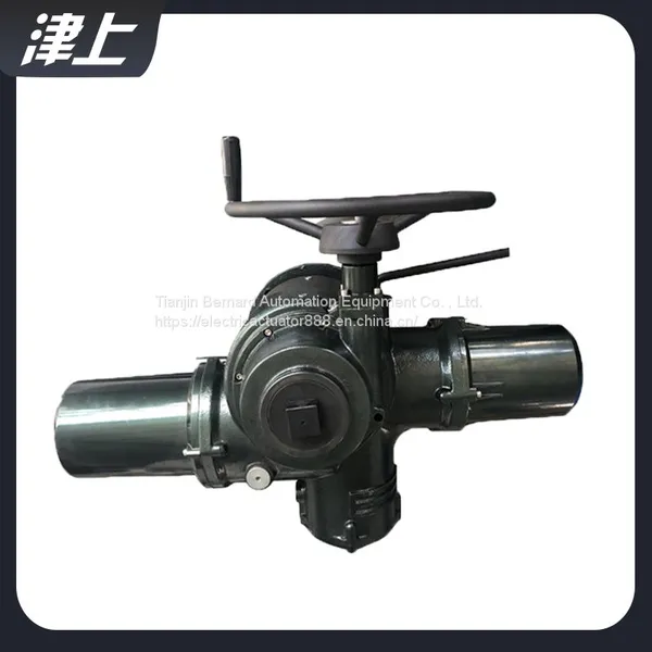 Multi Turn Electric Actuator IQM10 Bluetooth Control Bus Protocol photo-4