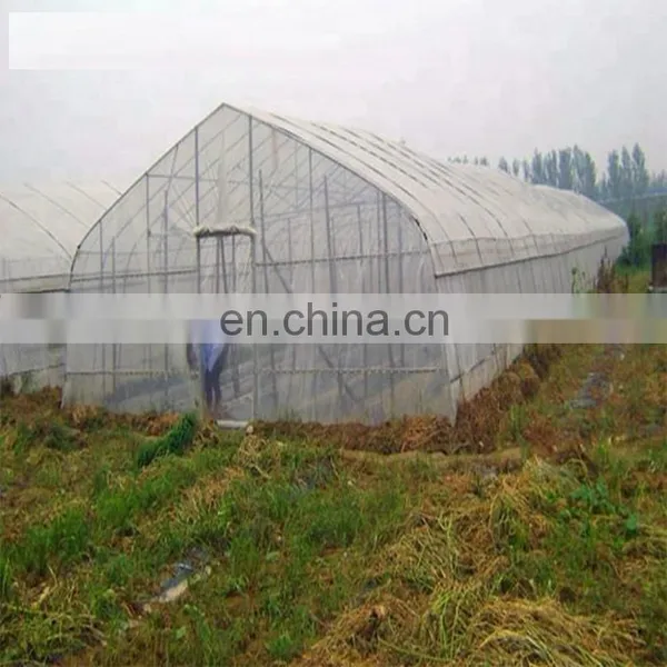60 Mesh Plant Vegetables Protection Anti Insect Net Garden Fruit Care Cover Flowers Protective Net Greenhouse Pest Control photo-2
