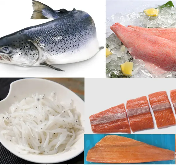 Hand Foods (Dalian) Co., Ltd. company overview - view 4
