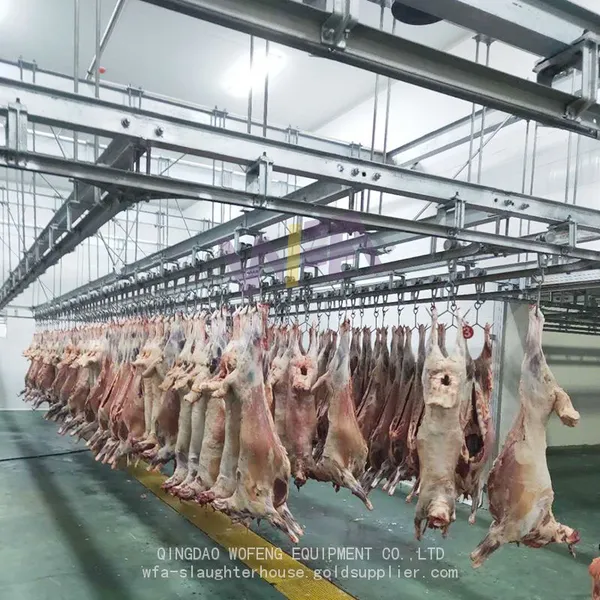 Abattoir Equipment Goat Slaughtering Processing Plant For Sheep Slaughterhouse photo-5