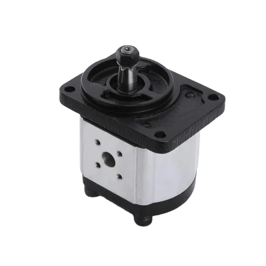 CBTs Hydraulic Pump CBTs-F304 F306 F308 F310 F312 F314 F316 F320 F325 Supply From China New Hydraulic Power Unit Gear Pump photo-3