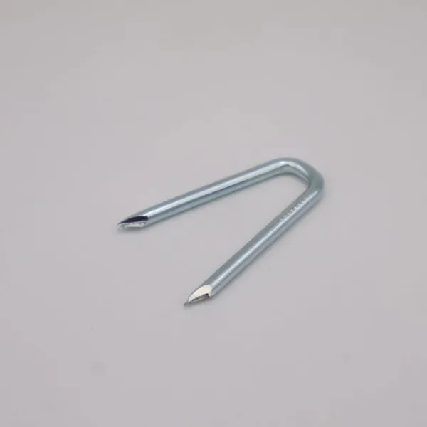Q195 Carbon Steel U Type Nails for Fence Staples With Zinc Plating photo-5