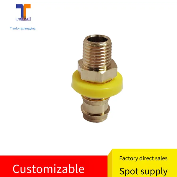 Tianlong Xiangying German-style Tlz87pl Mold Standard Pipe Connector Quick-connect Copper Nozzle