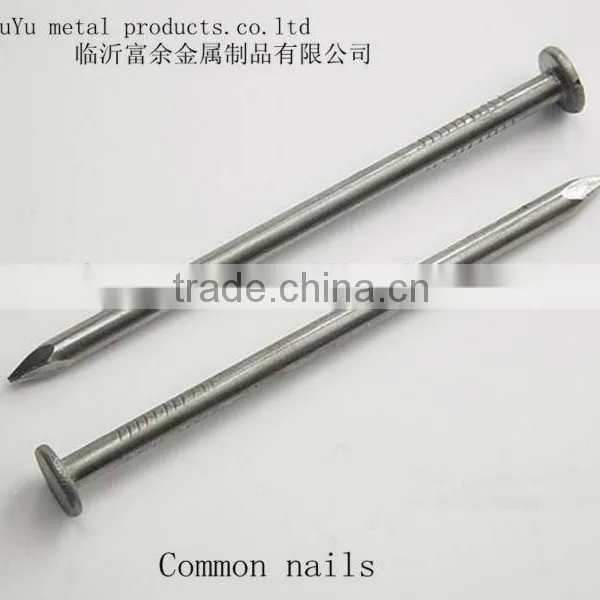 Galvanized Common Iron Wire Bright Nails Factory