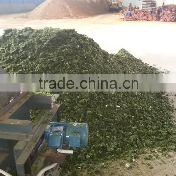 Mesh Belt Dryer for Cabbage photo-3