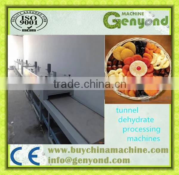 Professional Belt Dryer, Net Belt Tunnel Dryer, Mesh Belt Dryer