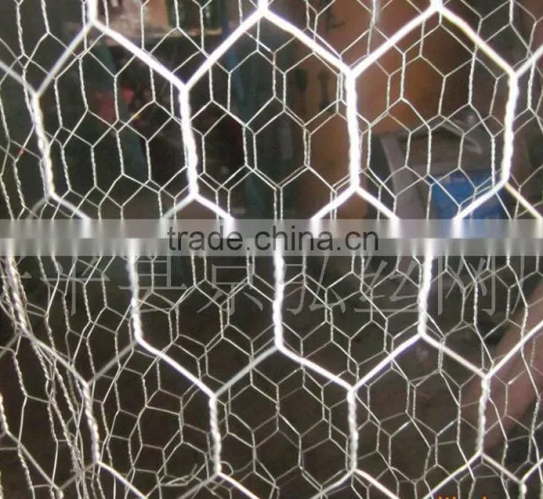 Anping Factory Gabion Box for Rock Protection photo-5