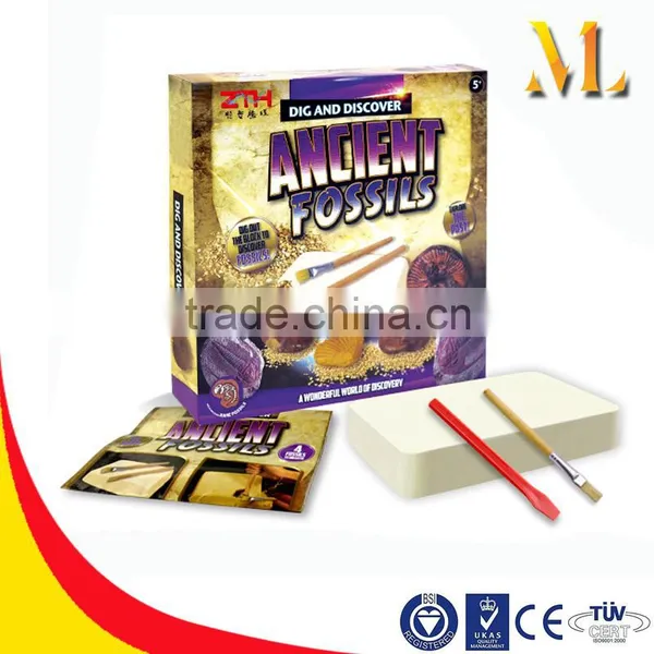 ADT04 Educational Shell Series Archaeological Research Digging Diy Series Toys