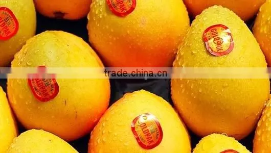 Fresh Mango photo-2