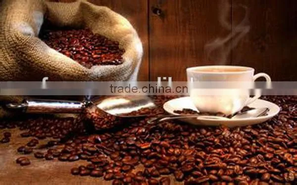 Coffee Roaster-Heat Distribution Coffee Roaster-Housing Material Coffee Roaster ZS-202A Quality Choice photo-2