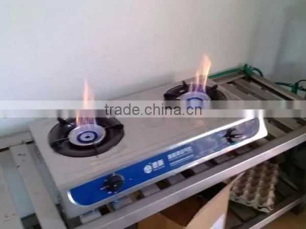 Best Double Burner Biogas Stove photo-6