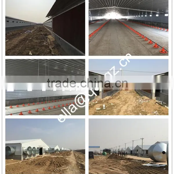 Chicken Coopand Full Automatic Operation Equipments photo-3