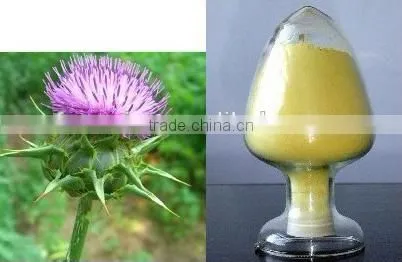Water Soluble Organic 30%-98% Silymarin photo-3