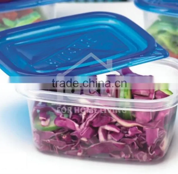 Cheap Price 9.5oz Rectangle Disposable Plastic Fresh Box photo-3