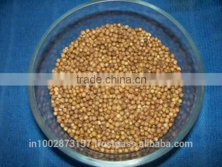 Coriander Seeds