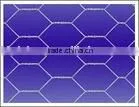 Hexagonal Wire Mesh