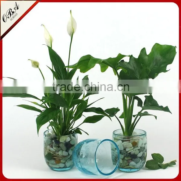 European Creative Arts Small Glass Cup Vase / Handmade Ice Crack Technology Glass Flower Vase for Home Decorative photo-2