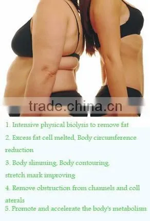 Cavitation Slimming RF Laser Vacuum Physiotherapy Equipment photo-5