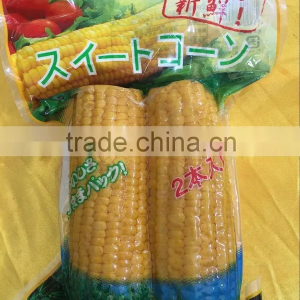 Canned Sweet Corn photo-3