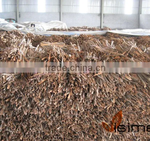 Split Cassia/Cinnamon Vietnam (SKYPE: VISIMEX09)