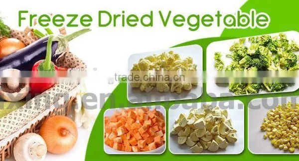 Freeze-dried Cauliflower for Foods Material photo-2