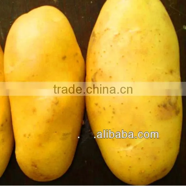 Specification of Potatoes