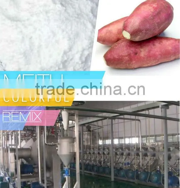 Potato Starch Machine Manufacturer in China photo-2