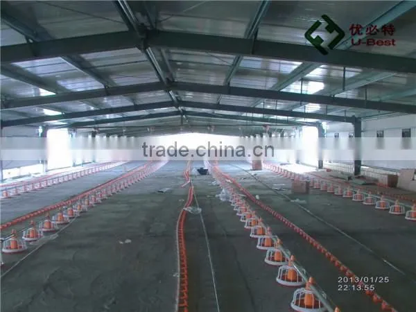 Automatic Chick House Design photo-6