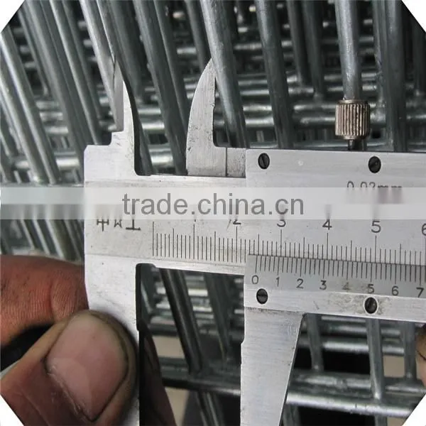 Galvanized Welded Panle / Welded Wire Mesh Factory / Galvanized Welded Panle Price photo-5
