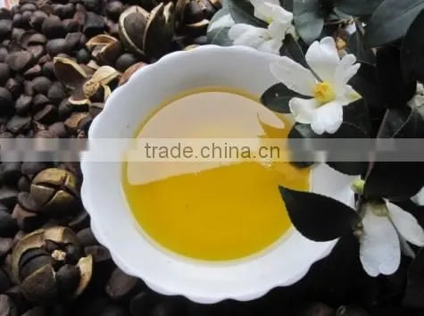 A Prefessional Processing of Tea Seed Oil Machine / Tea Seed Oil Making Machine photo-3