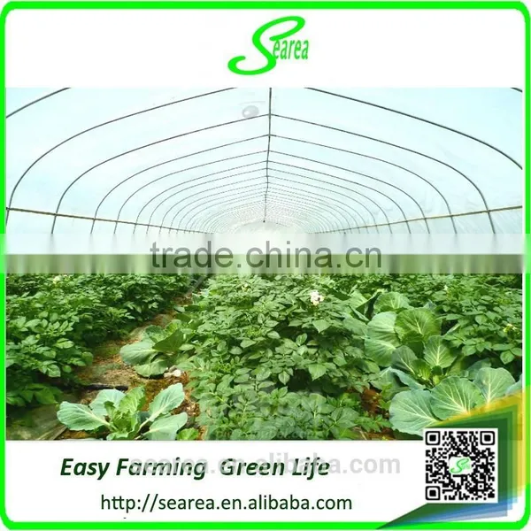 Galvanized Steel Frame Polytunnel Greenhouse photo-4