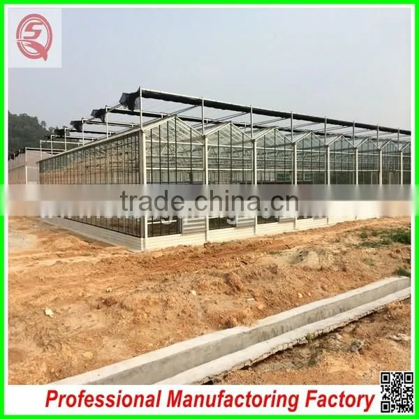 Commercial/agricultural Large Span Glass Green House for Strawberry/tomatoes photo-6