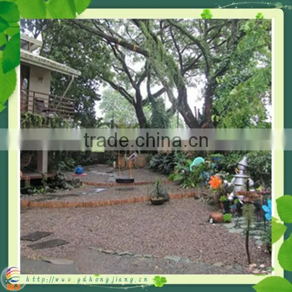 Garden Decorative Bamboo Edging photo-2