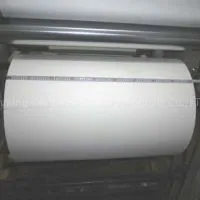 Release Paper photo-2