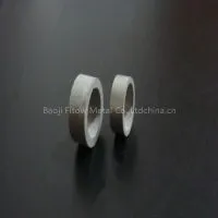 Micropore Sintered Metal Titanium Filter Plate Factory Price