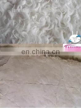 2016 High Quality Curly Kalgan Fur Plate photo-4