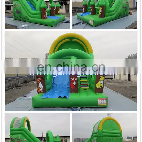 Inflatable Dry Double Lane Stair Slide for Sale photo-6