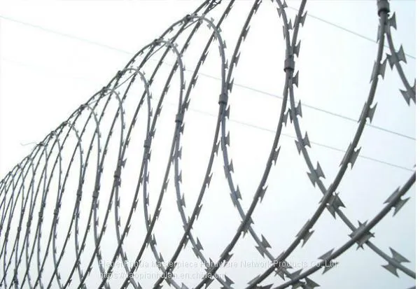 Razor Barbed Wire/BTO-65 Prison Thorn Rope Factory photo-4