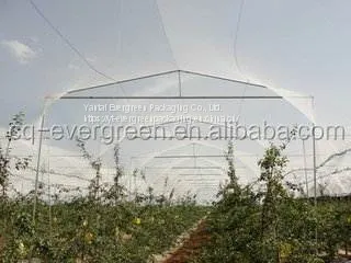 EGP HDPE White Large Hail Protection Net for Apple Tree Agriculture