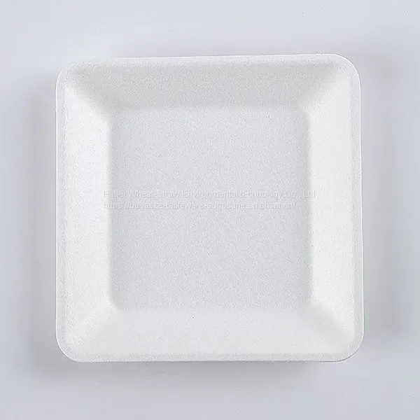 Disposable Biodegradable 6 INCH Square Plate Take Away Sugarcane photo-3